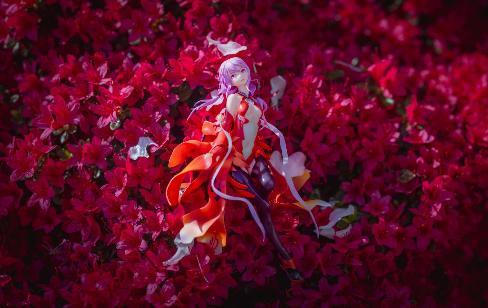Figure in red azaleas