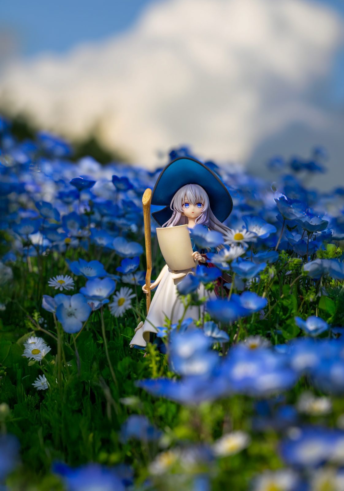 Figure in nemophila golden light