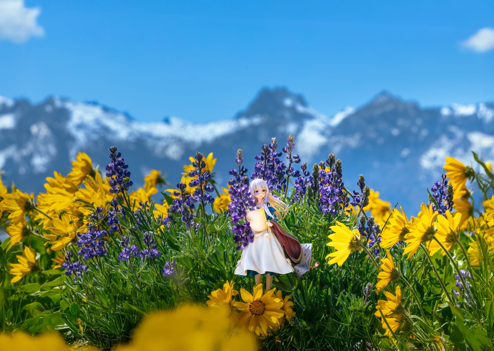 Figure with lupine and peaks